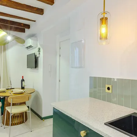 Refined And Practical In Historic Center Of * Alicante